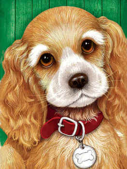 Dogs