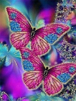 Butterflies