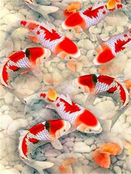 Underwater