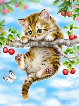 Cats